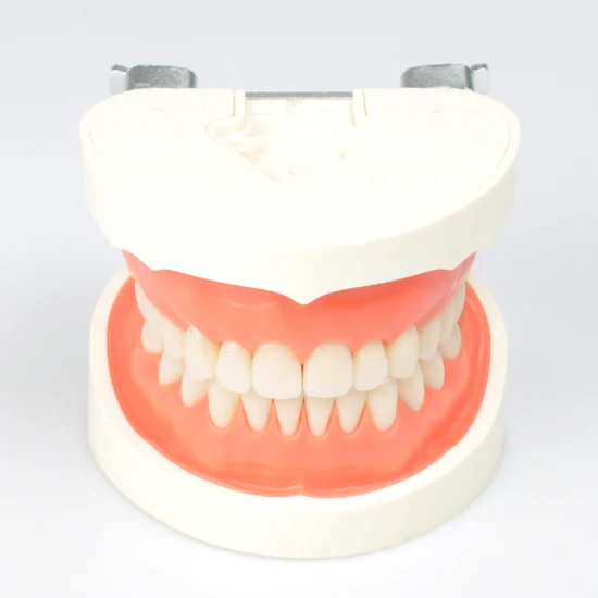 Desktop Lab 3D Scanner Digital Dental